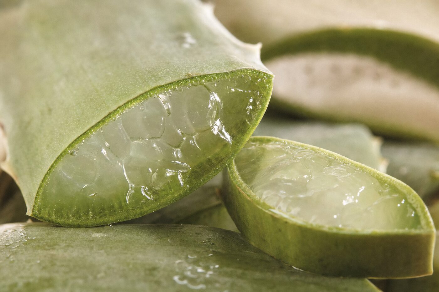 Macro texture of translucent aloe vera gel